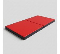 Мат книжка 200-100-10 см TIA-SPORT